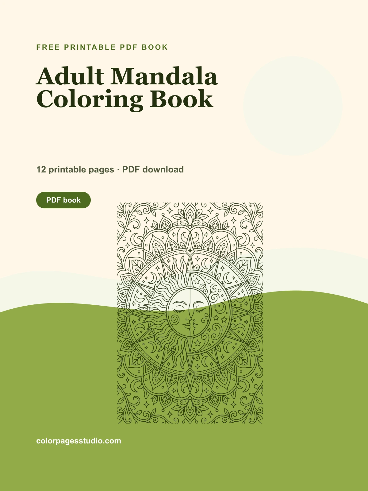 Adult Mandala Coloring Book cover