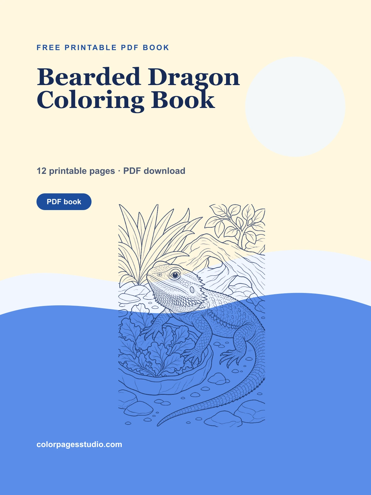Bearded Dragon Coloring Book cover