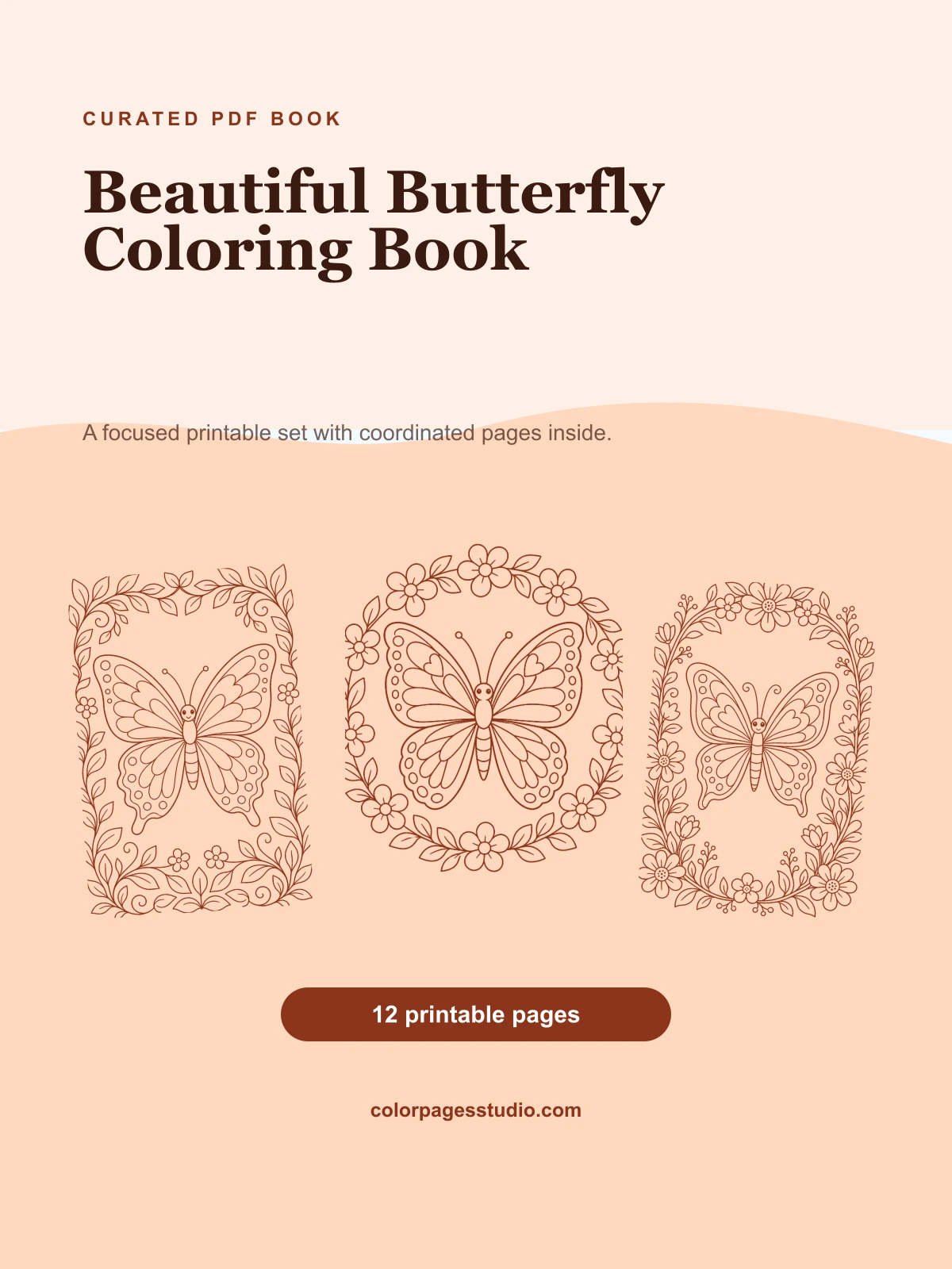 Beautiful Butterfly Coloring Book cover