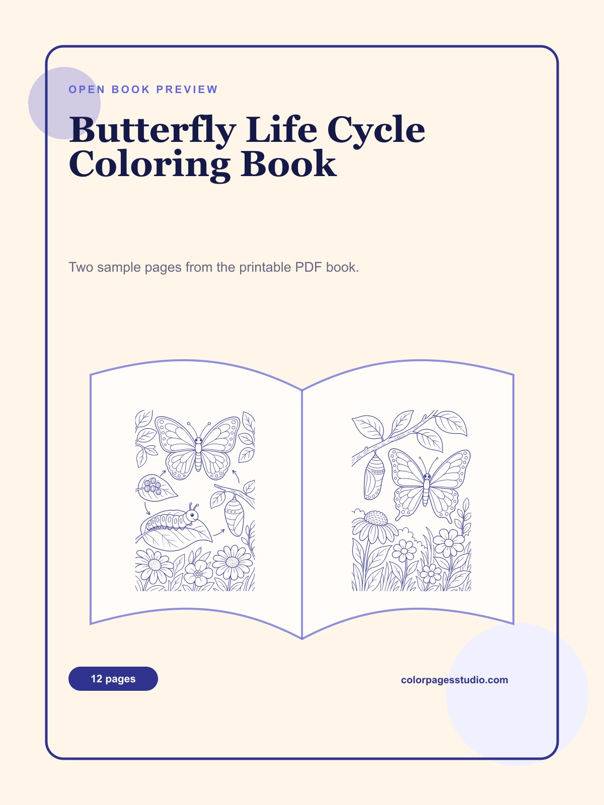 Butterfly Life Cycle Coloring Book cover