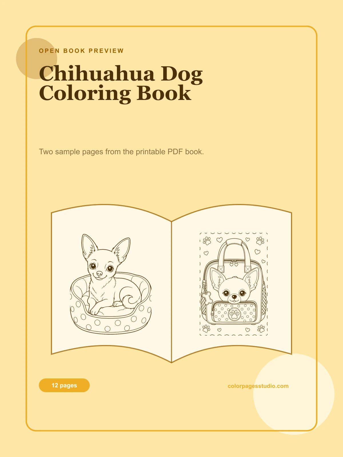 Chihuahua Dog Coloring Book cover