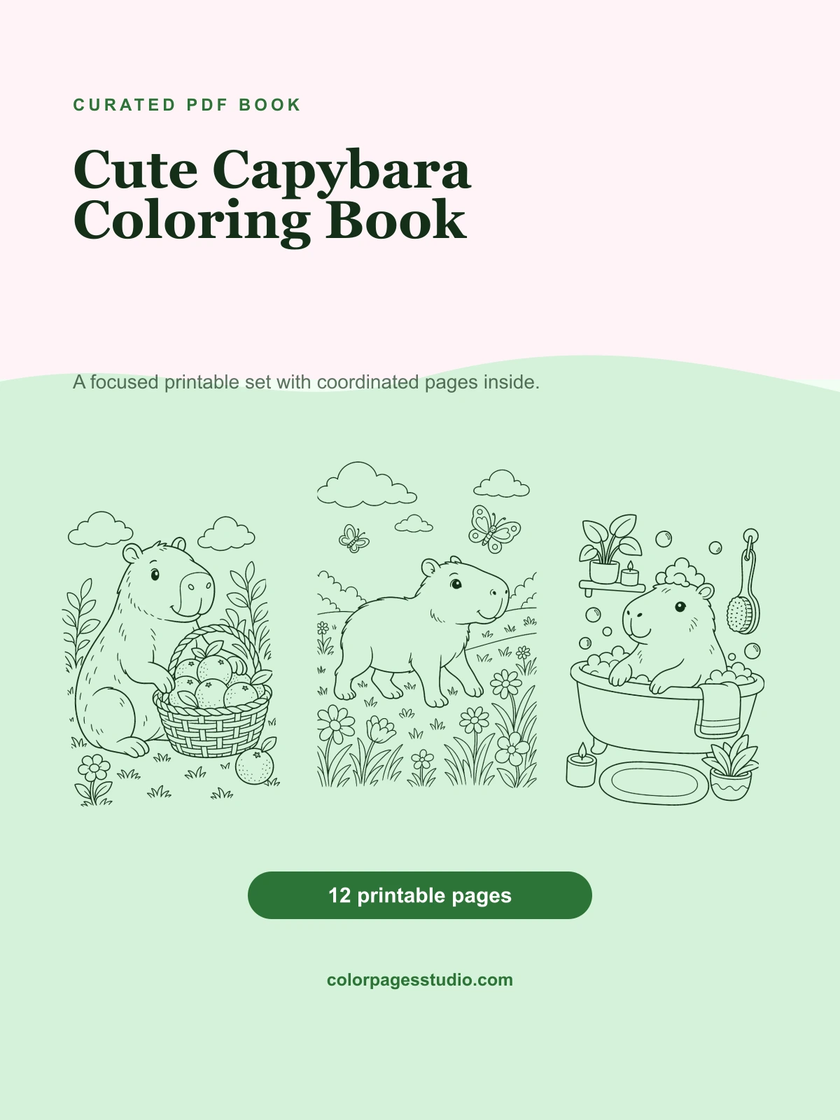 Cute Capybara Coloring Book cover