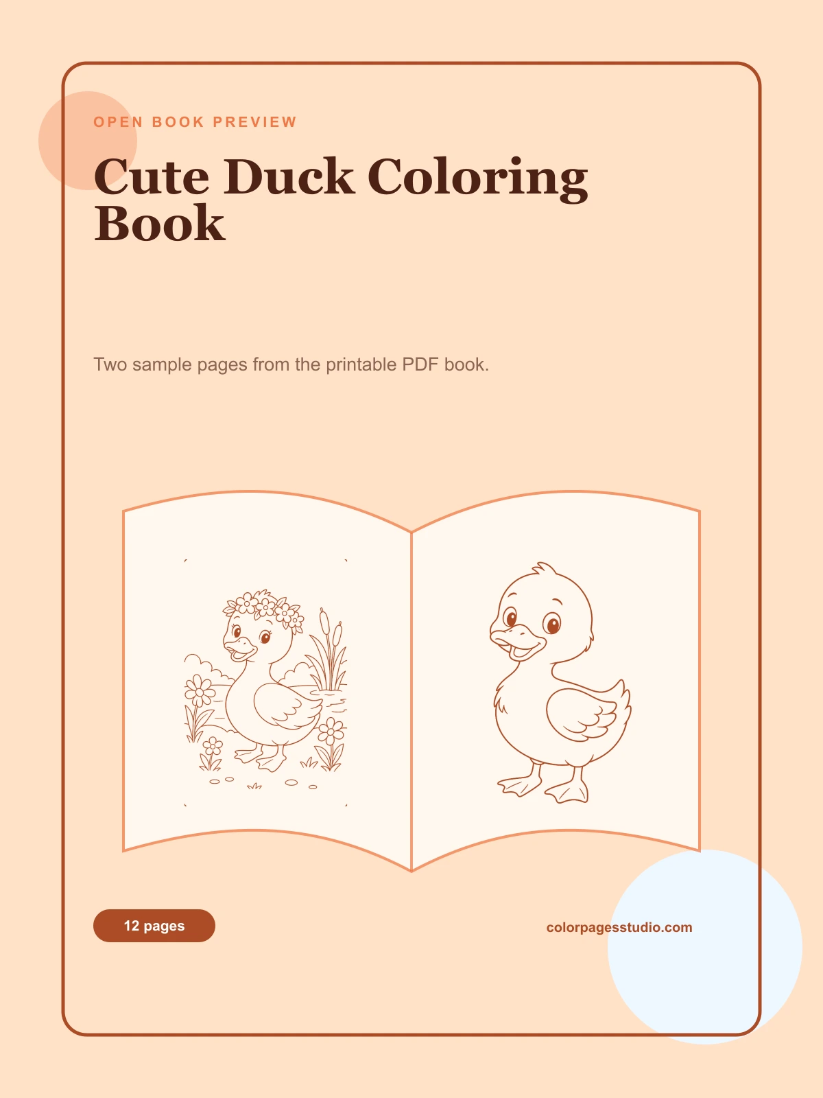 Cute Duck Coloring Book cover