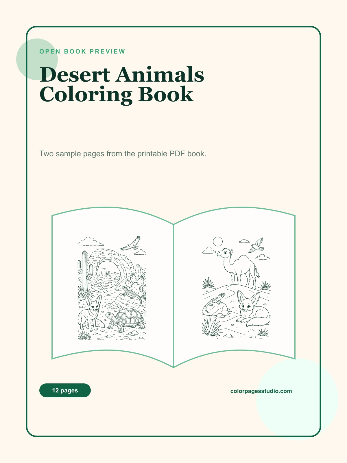 Desert Animals Coloring Book cover
