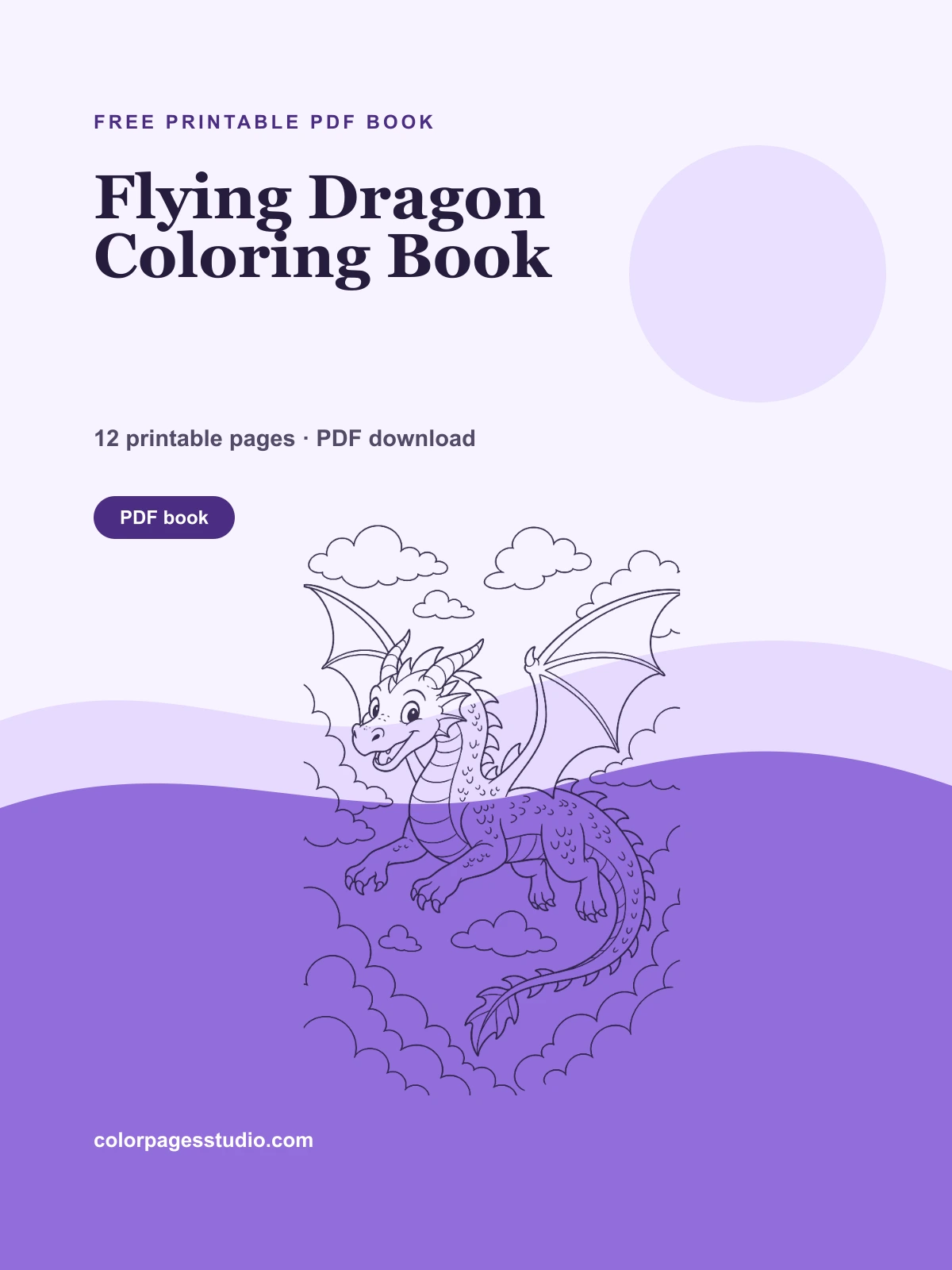 Flying Dragon Coloring Book cover
