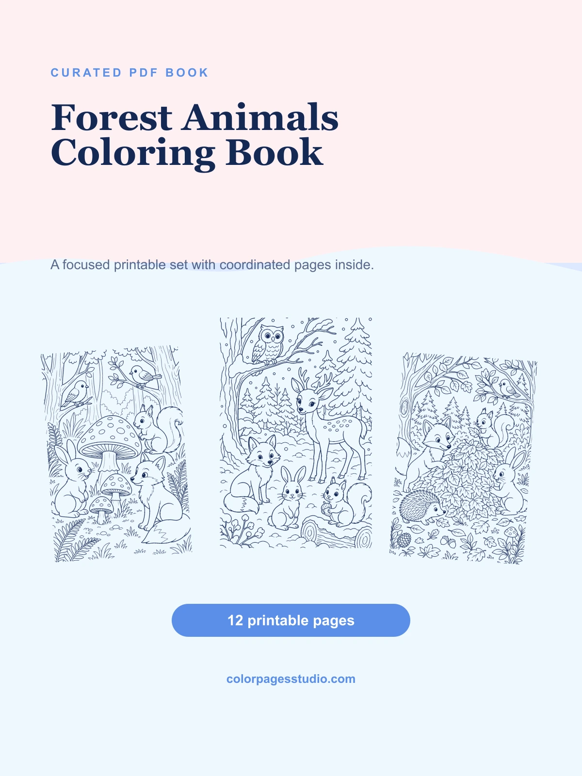Forest Animals Coloring Book cover