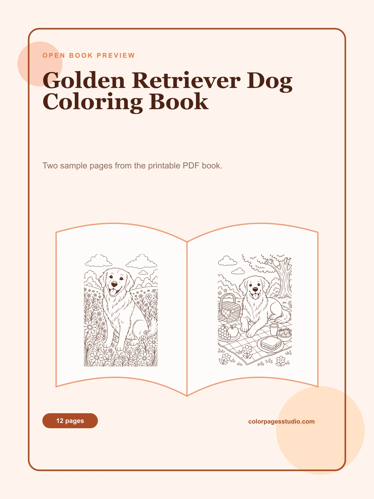 Golden Retriever Dog Coloring Book cover