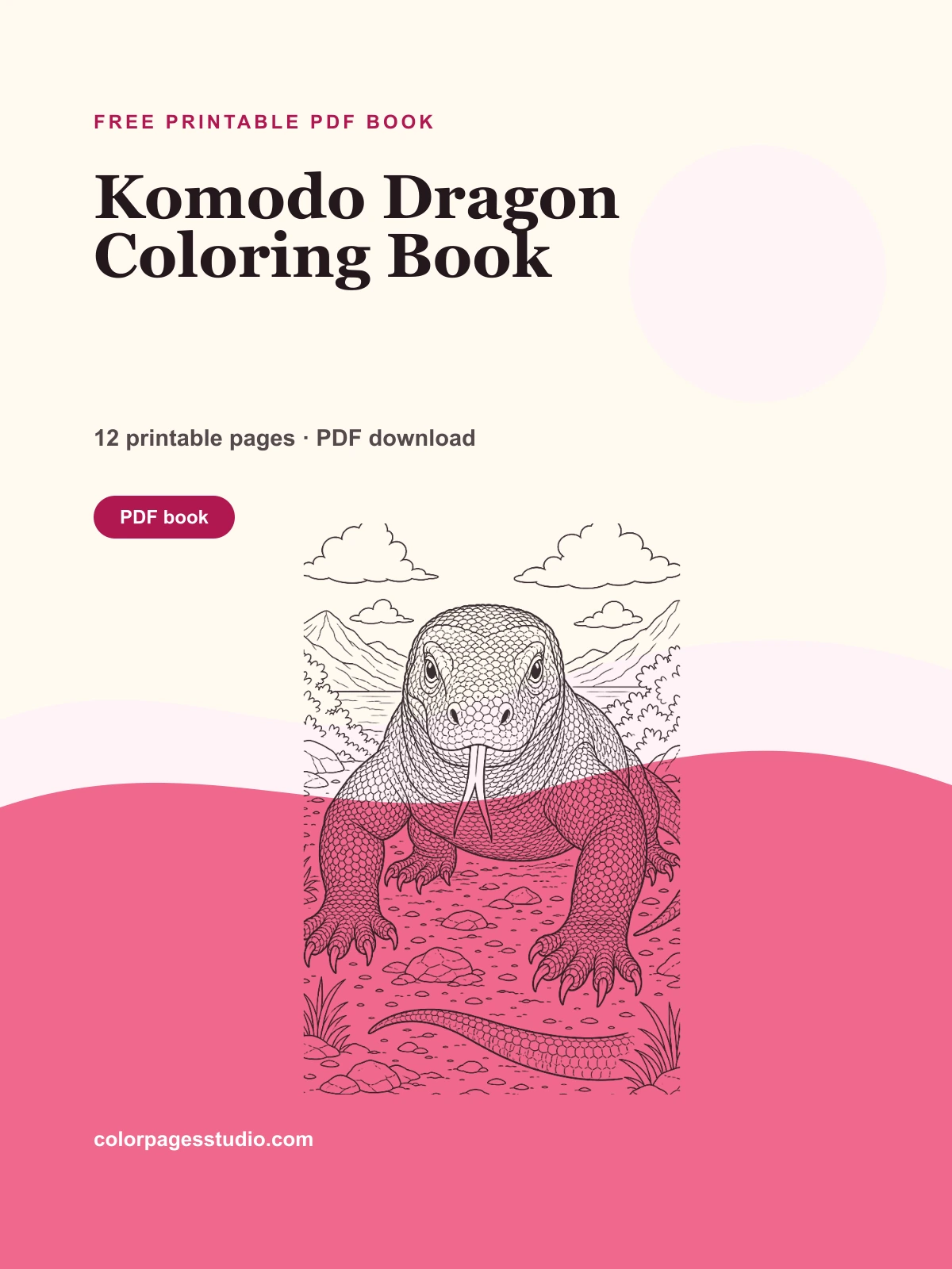 Komodo Dragon Coloring Book cover