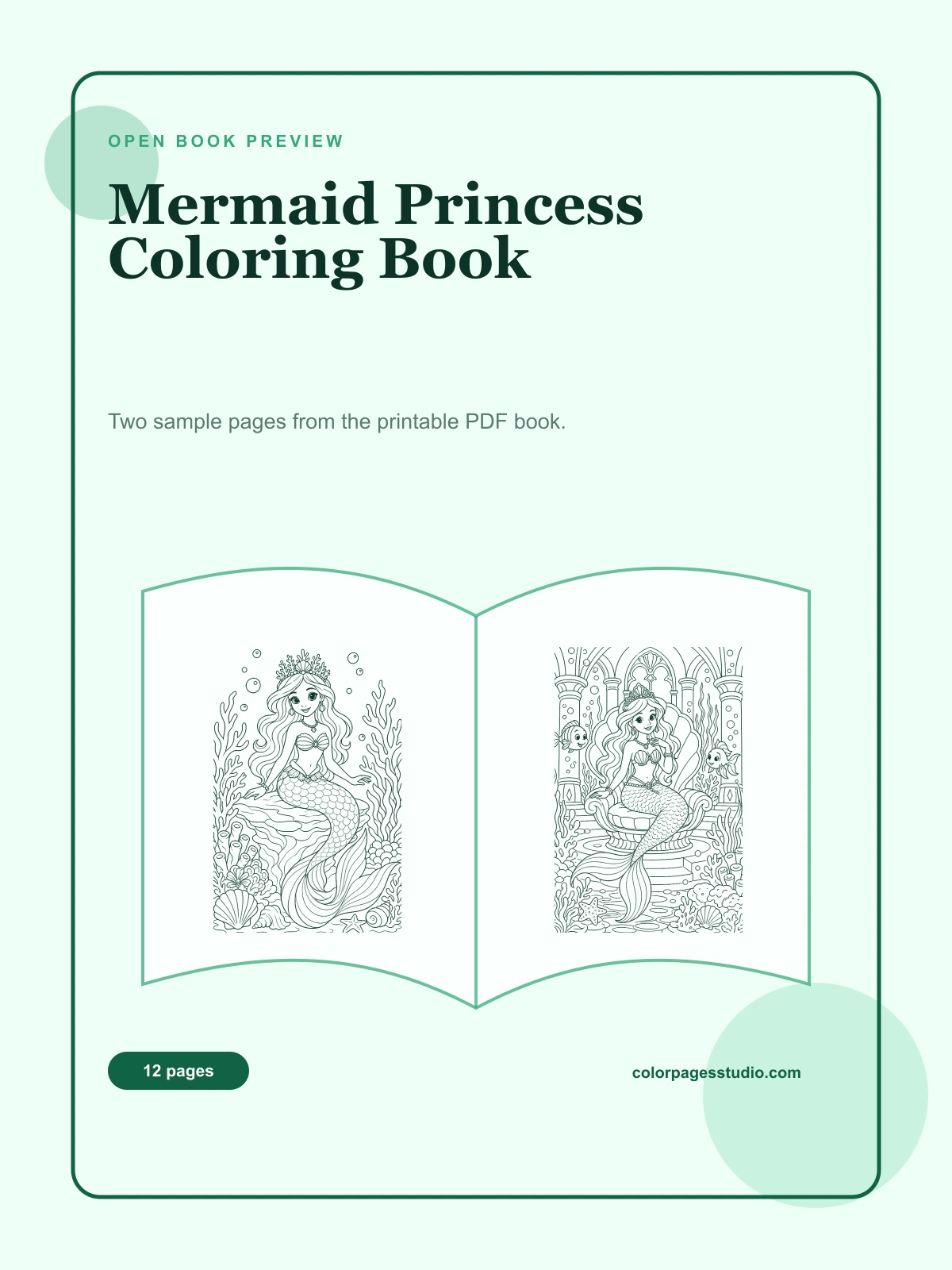 Mermaid Princess Coloring Book cover