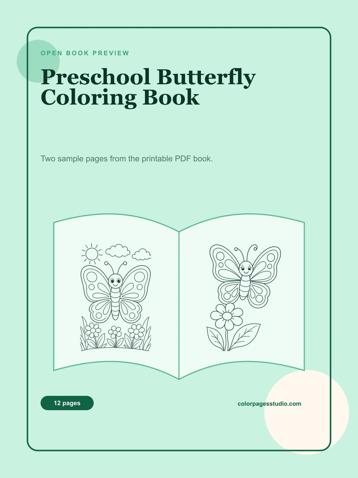 Preschool Butterfly Coloring Book cover