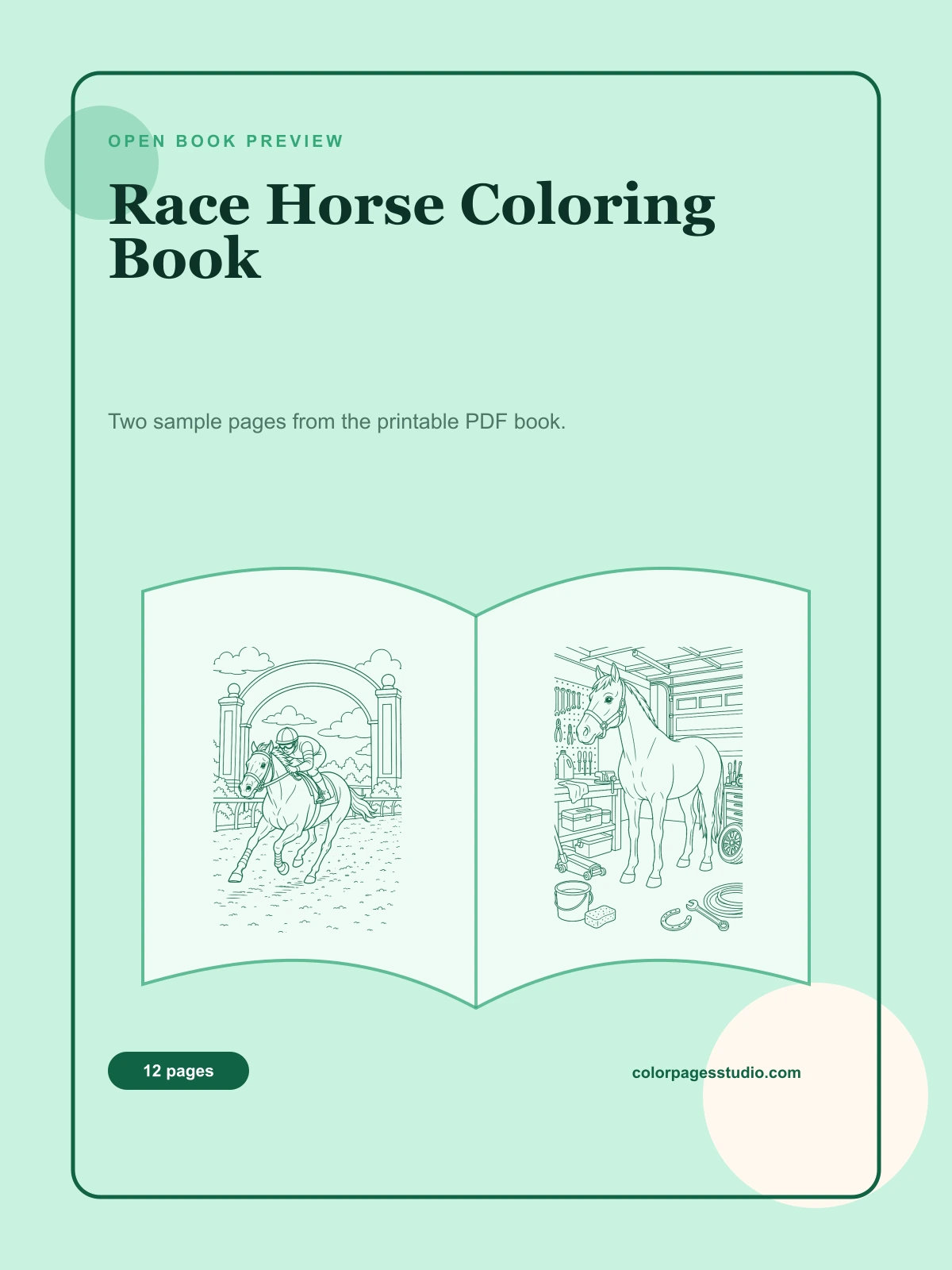 Race Horse Coloring Book cover