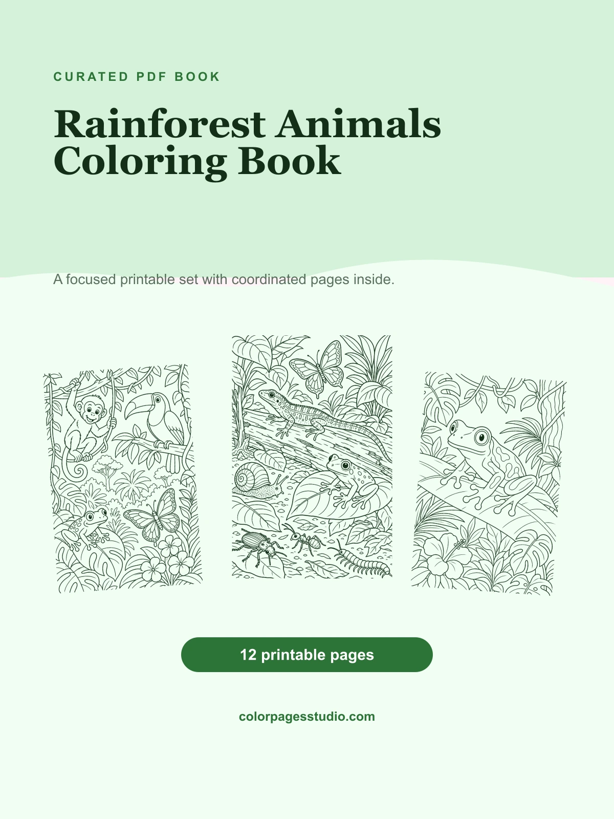 Rainforest Animals Coloring Book cover