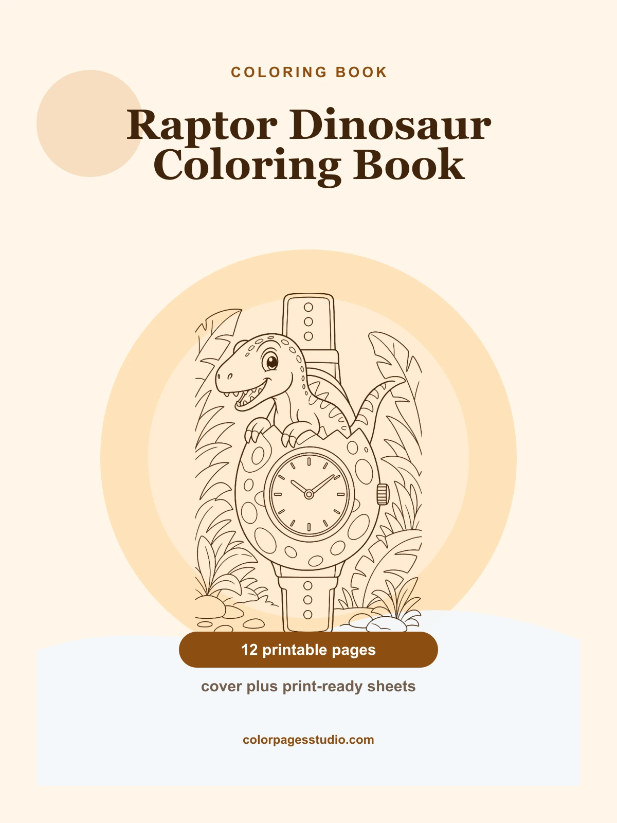 Raptor Dinosaur Coloring Book cover