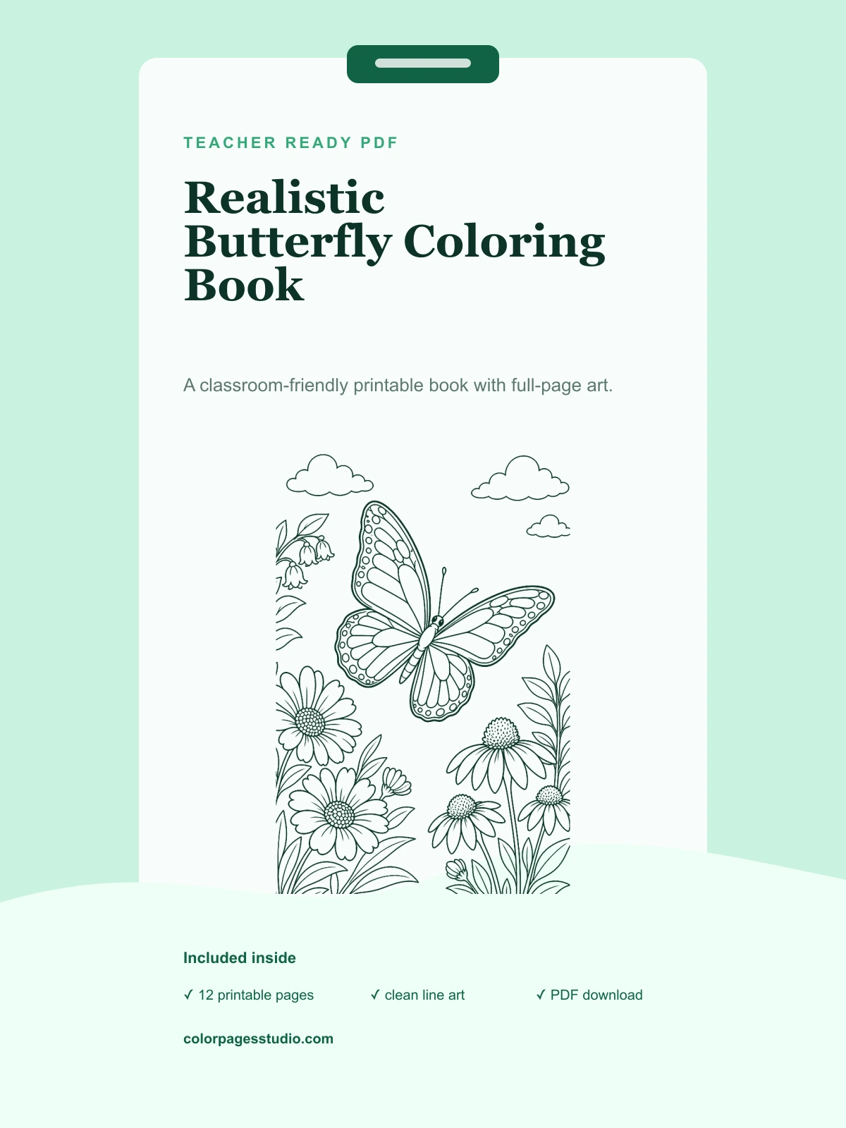 Realistic Butterfly Coloring Book cover