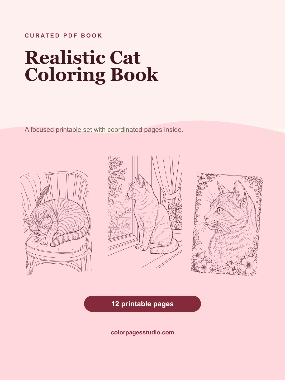 Realistic Cat Coloring Book cover