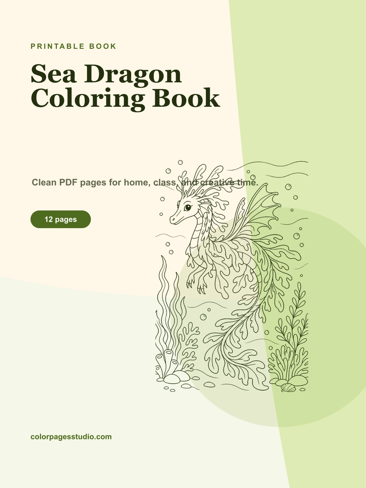 Sea Dragon Coloring Book cover