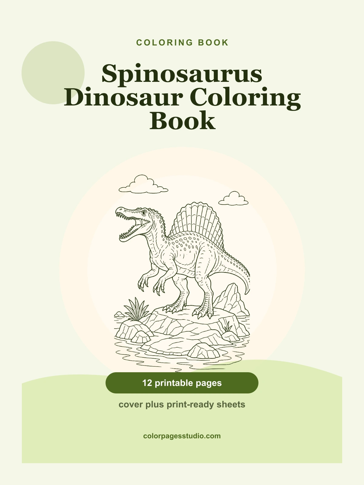 Spinosaurus Dinosaur Coloring Book cover