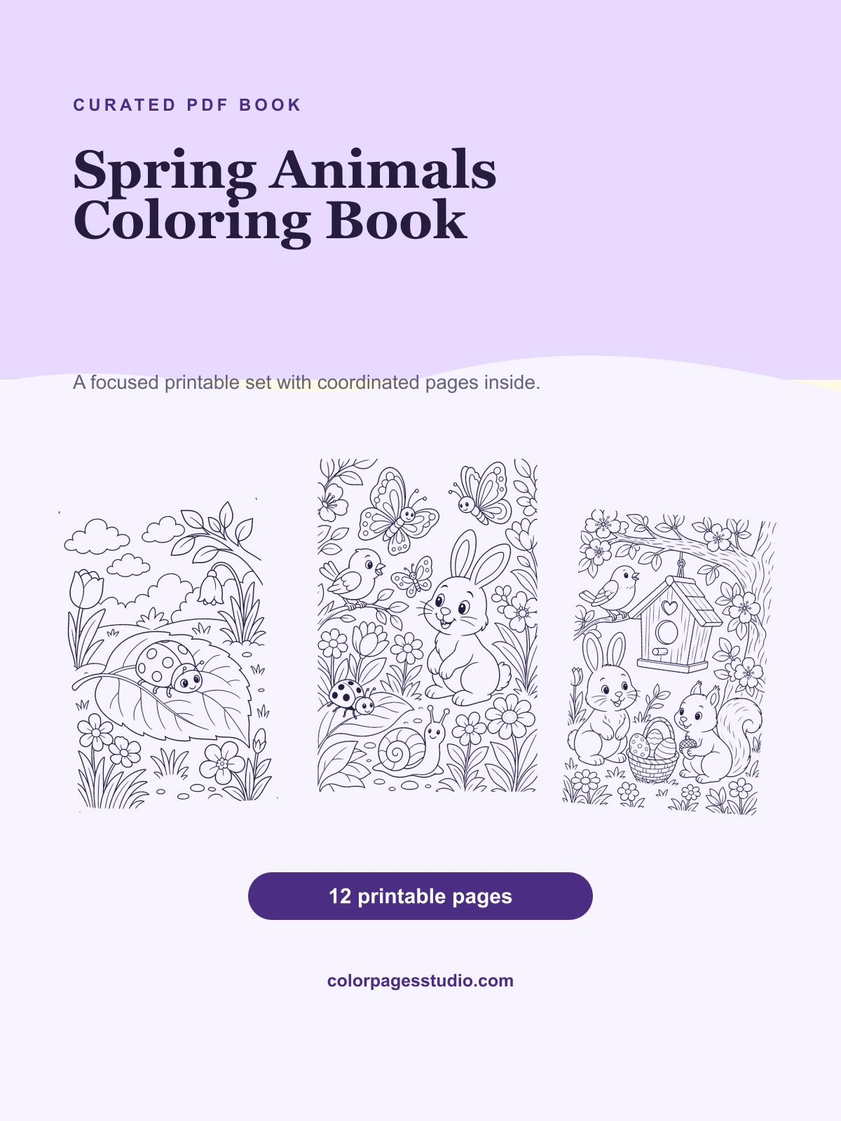 Spring Animals Coloring Book cover