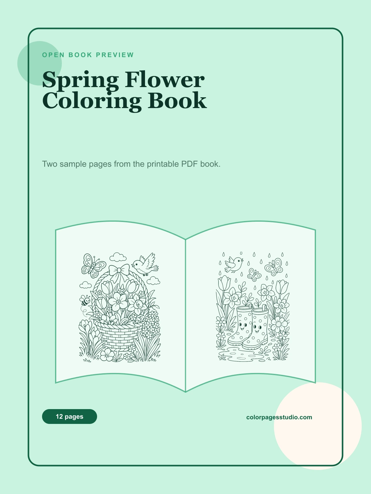 Spring Flower Coloring Book cover