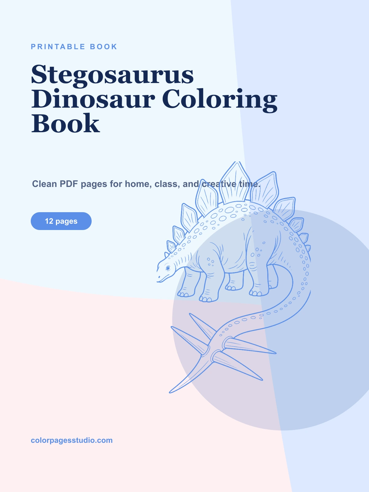 Stegosaurus Dinosaur Coloring Book cover