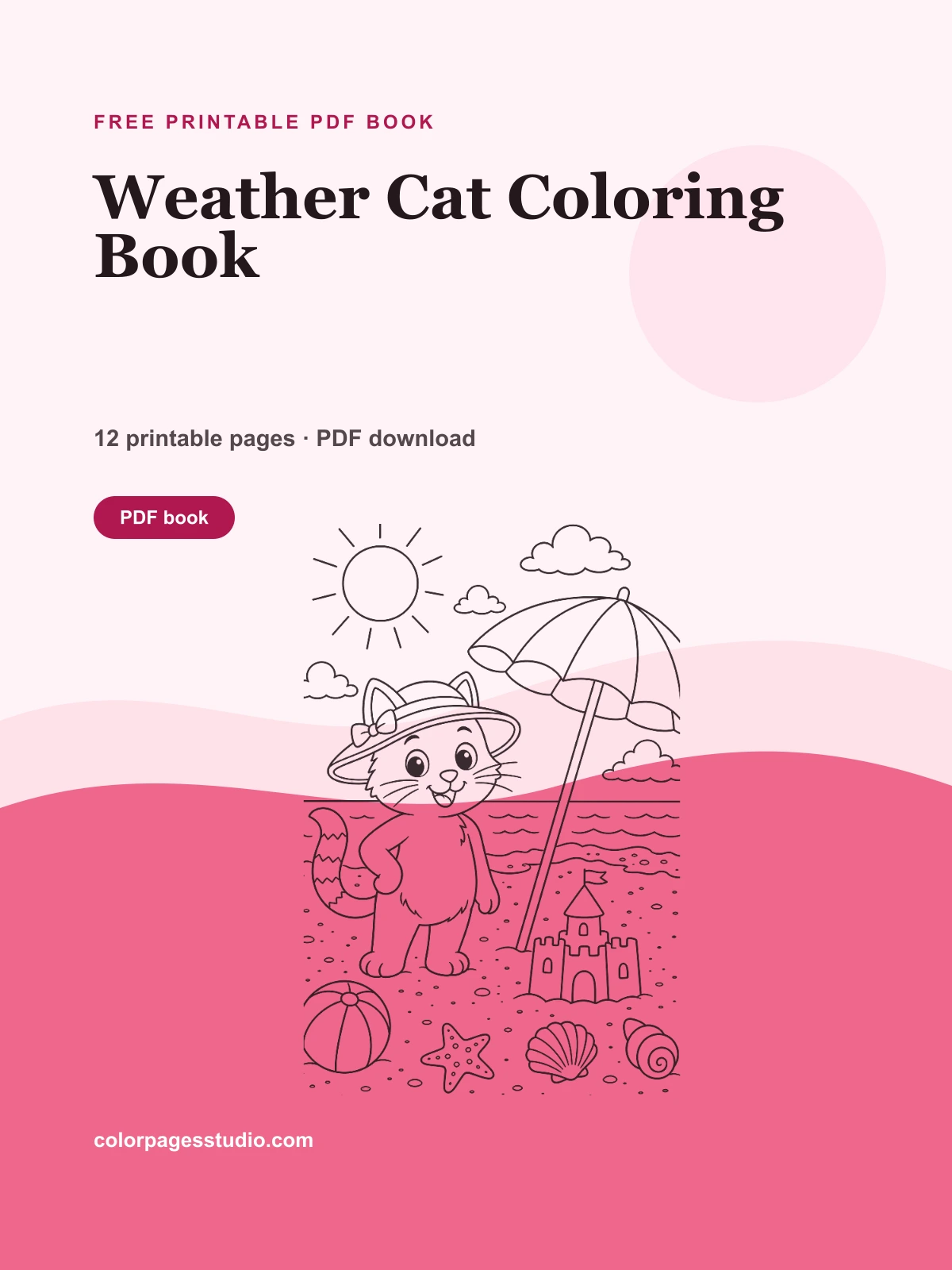 Weather Cat Coloring Book cover