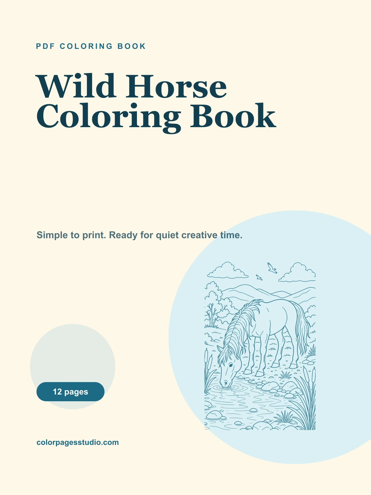 Wild Horse Coloring Book cover