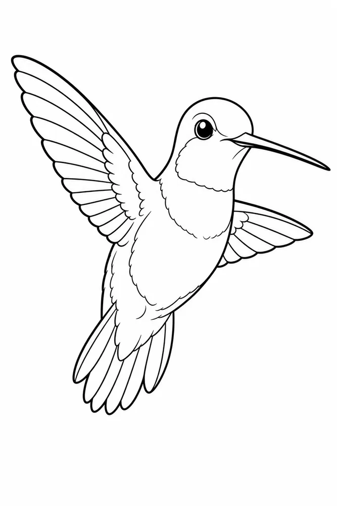 Hummingbird Hummingbird front portrait coloring page