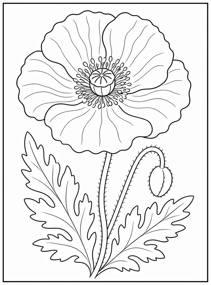 Poppy Flower Coloring Pages preview: Poppy Flower Single Poppy coloring page